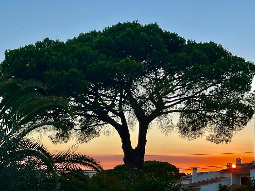 Vila De Sol Sesimbra Esterno foto