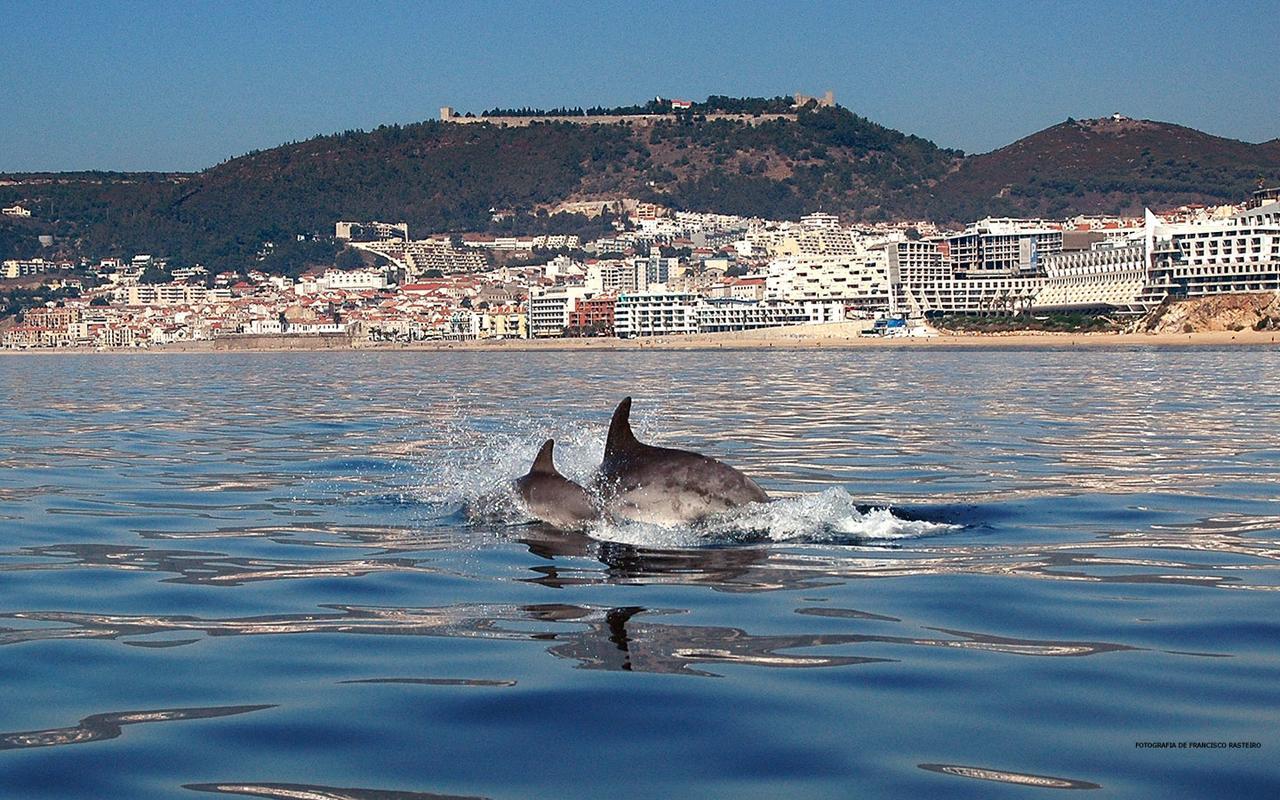 Vila De Sol Sesimbra Esterno foto